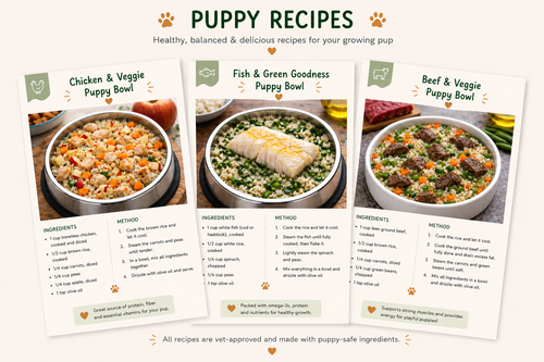 Healthy Dog Cook Book